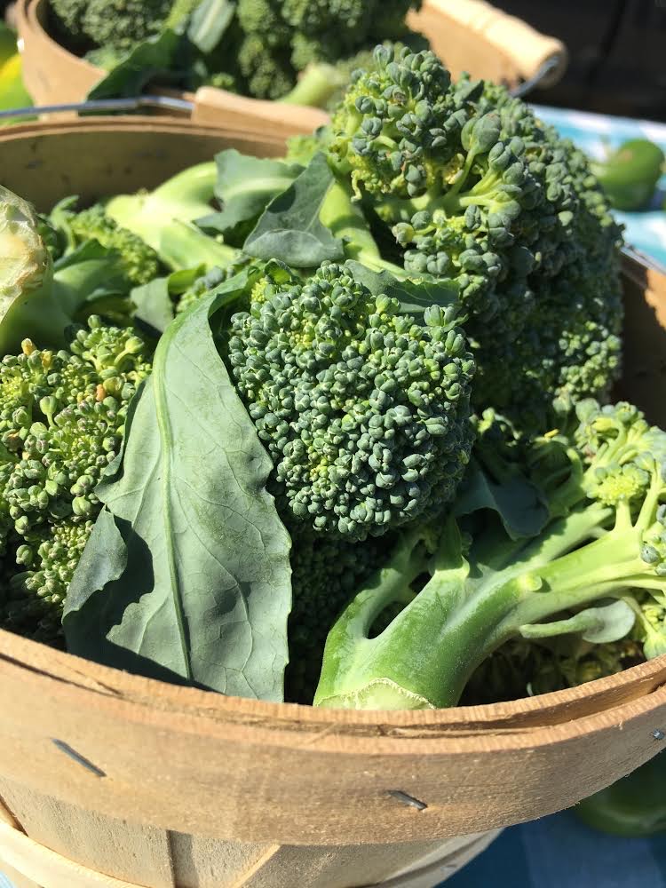 Broccoli from the College Hill Farmers Market